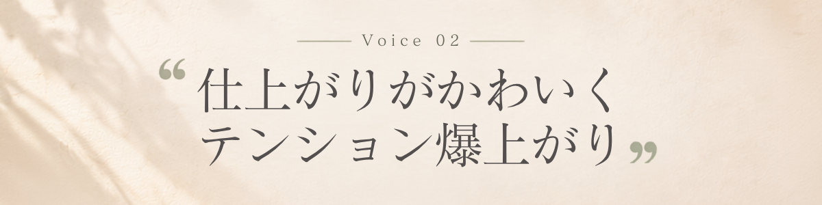 Voice 2